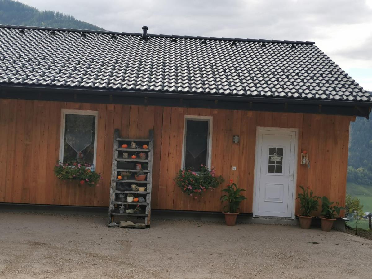 Bergblick Hollnhof Apartamento Donnersbach Exterior foto